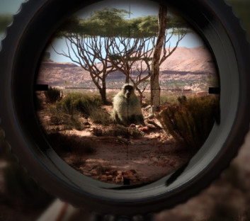 En İyi Av Oyunları Listesi: Türün Başyapıtları