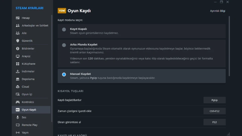 Steam oyun kaydı