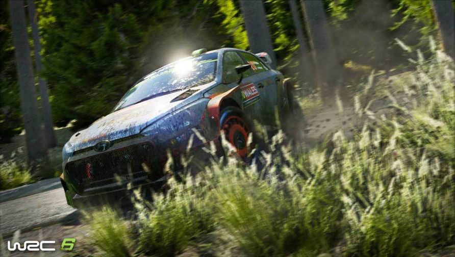 WRC 6: FIA World Rally Championship