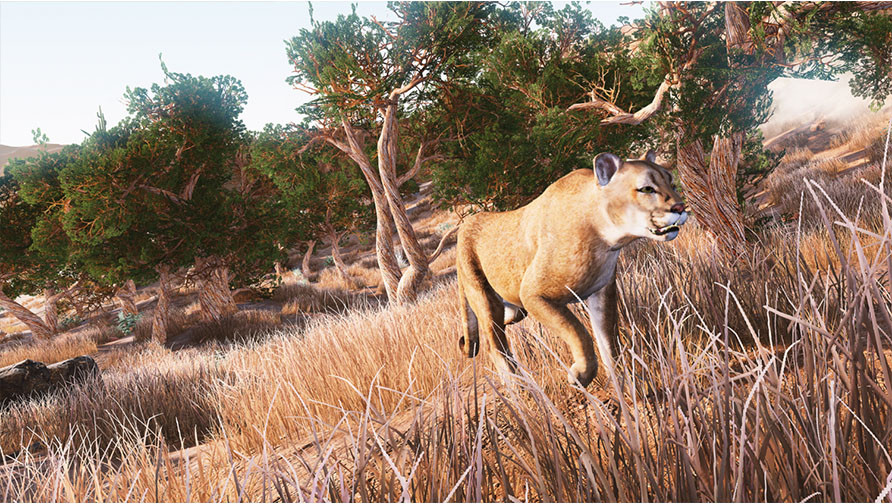 Hunting Simulator Hunting Simulator