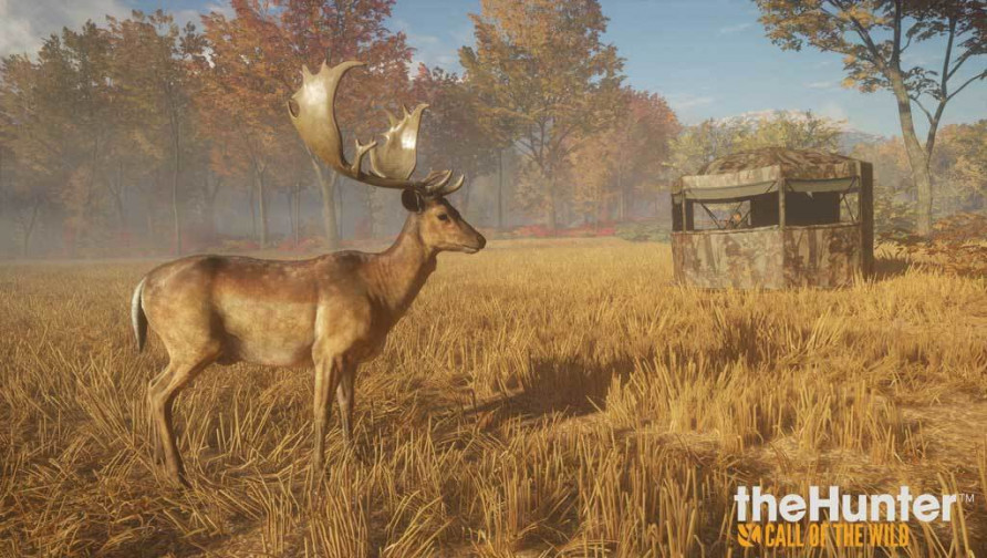 theHunter: Call of the Wild - Tents & Ground Blinds
