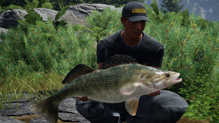Fishing Sim World: Quad Lake Pass (DLC)