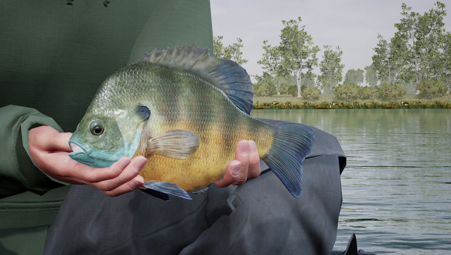 Fishing Sim World: Quad Lake Pass (DLC)