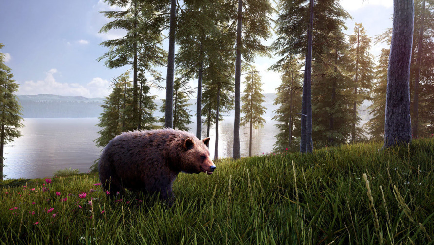 Hunting Simulator 2 Bear Hunter Pack Hunting Simulator 2 Bear Hunter Pack