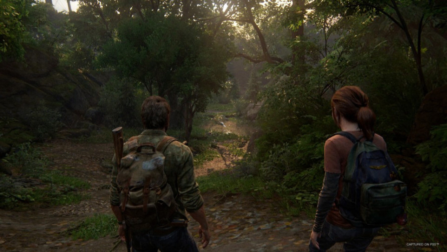 The Last of Us Part I (PC)