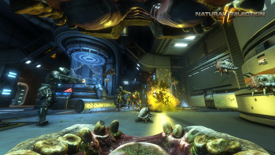 Natural Selection 2 Natural Selection 2