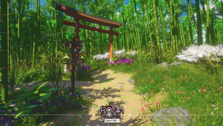 RONIN: Two Souls CHAPTER 1