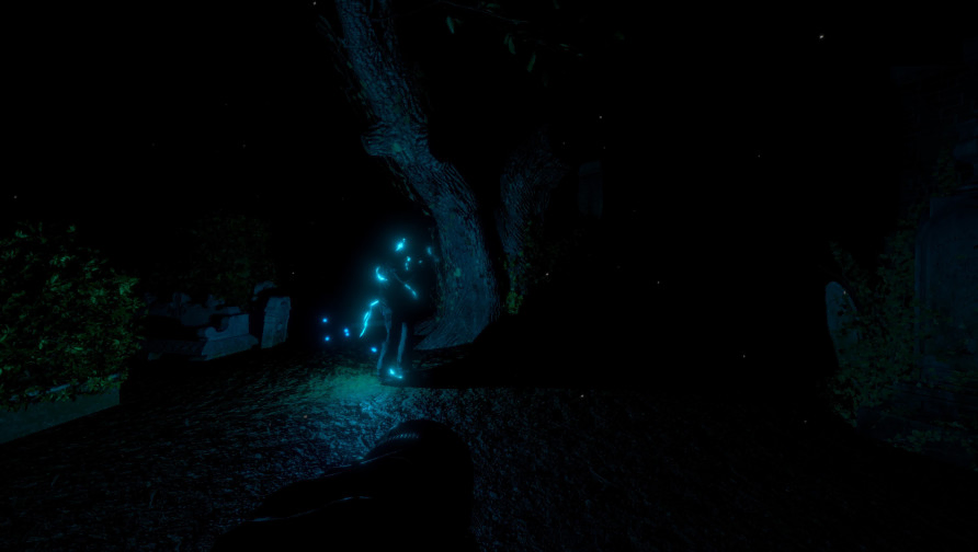 Midnight Murder Club