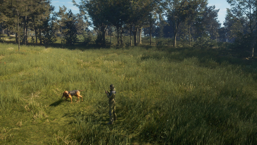 theHunter: Call of the Wild™ - Bloodhound theHunter: Call of the Wild™ - Bloodhound