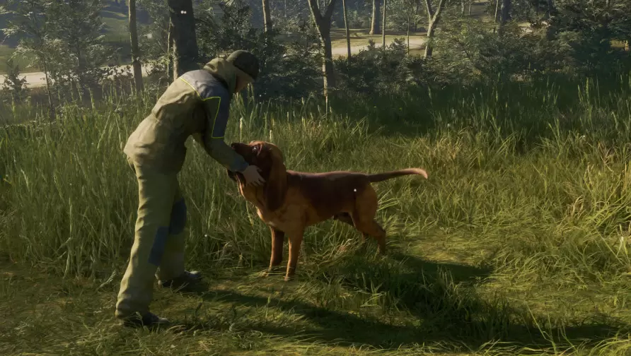 theHunter: Call of the Wild™ - Bloodhound theHunter: Call of the Wild™ - Bloodhound