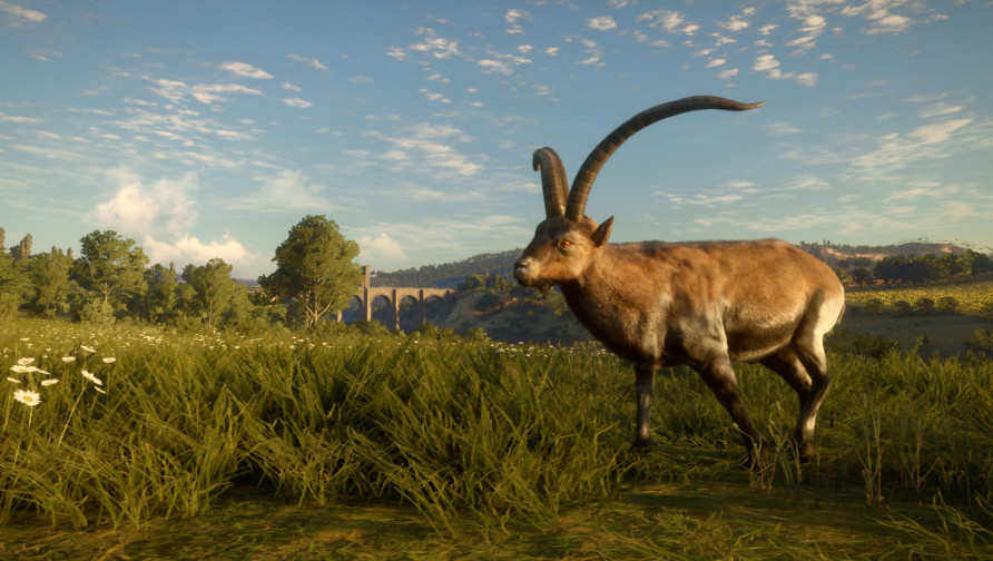 theHunter: Call of the Wild™ - Cuatro Colinas Game Reserve