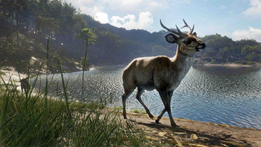 theHunter: Call of the Wild™ - Emerald Coast Australia