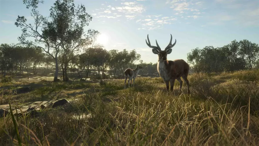 theHunter: Call of the Wild™ - Emerald Coast Australia