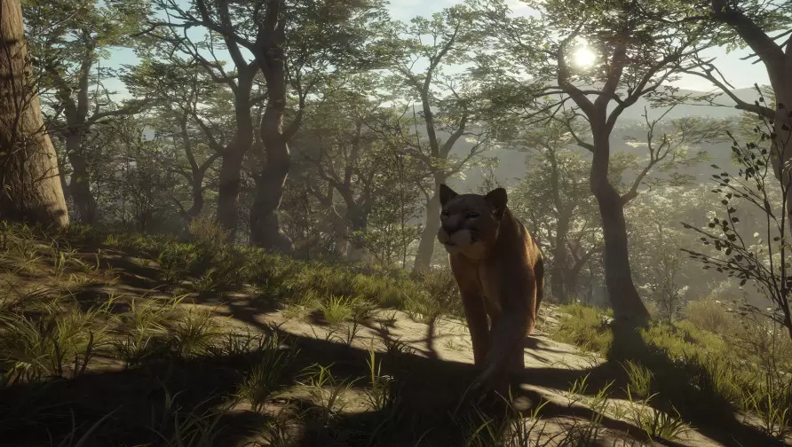 theHunter: Call of the Wild™ - Parque Fernando