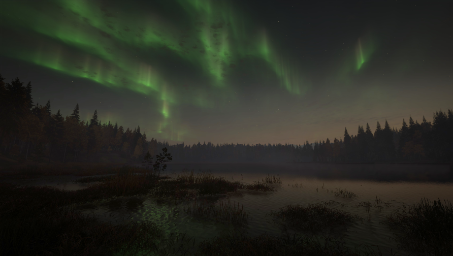 theHunter: Call of the Wild™ - Revontuli Coast