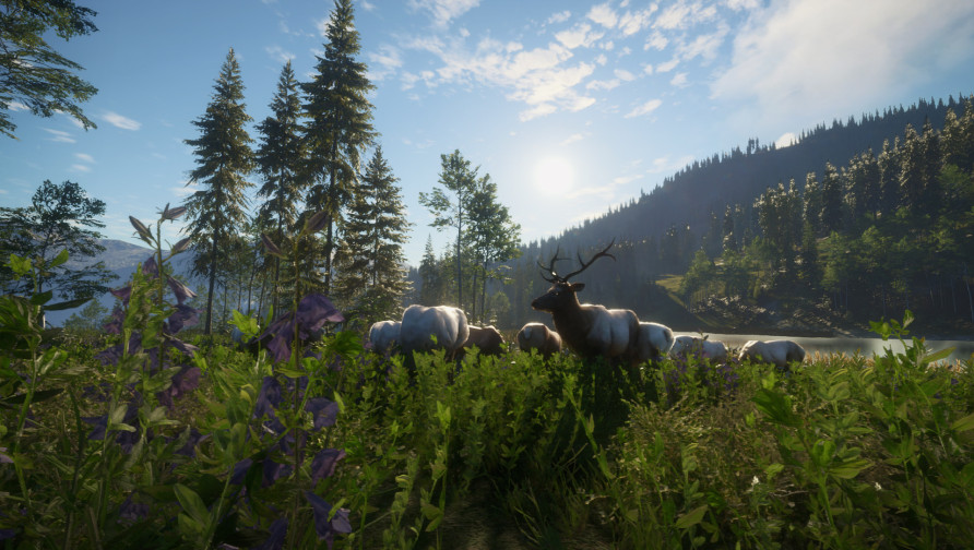 theHunter: Call of the Wild™ - Silver Ridge Peaks