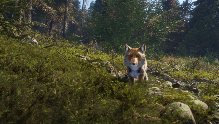 theHunter: Call of the Wild - Sundarpatan Nepal Hunting Reserve