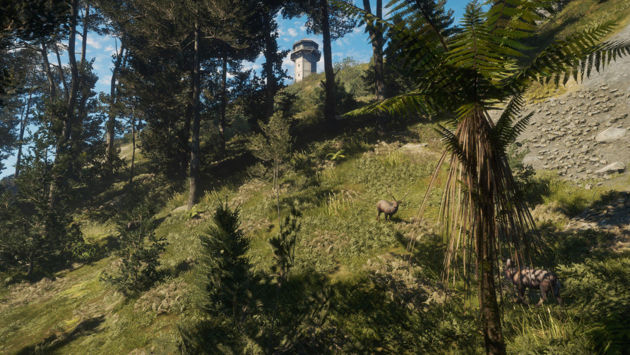 theHunter: Call of the Wild™ - Te Awaroa National Park theHunter: Call of the Wild™ - Te Awaroa National Park