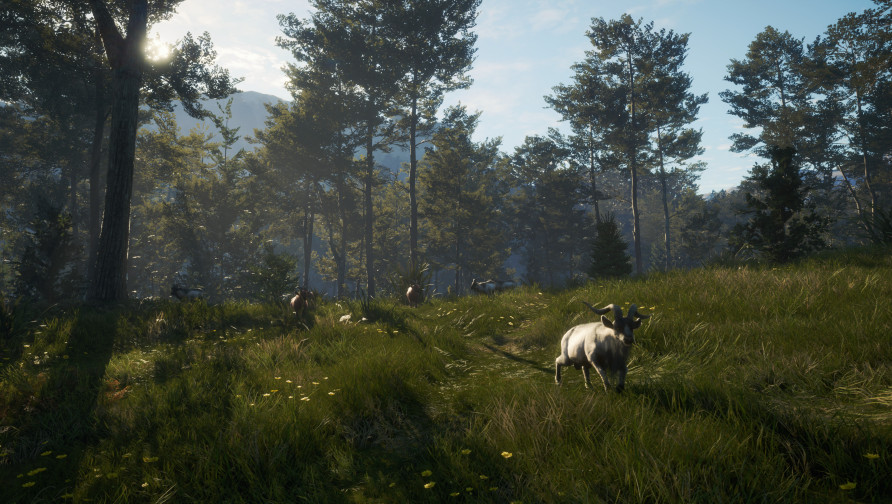 theHunter: Call of the Wild™ - Te Awaroa National Park