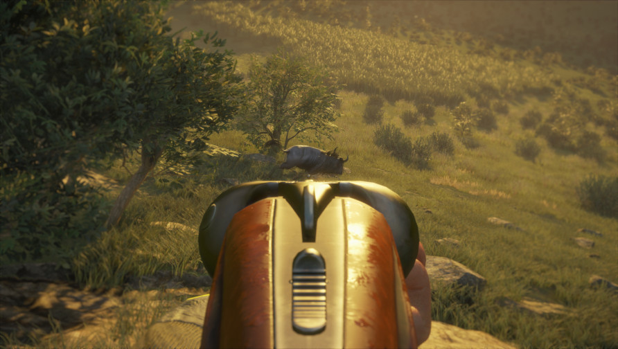 theHunter: Call of the Wild - Weapon Pack 2