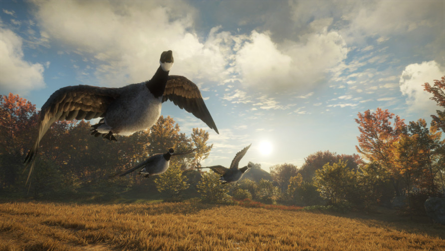 theHunter: Call of the Wild™ - Wild Goose Chase Gear theHunter: Call of the Wild™ - Wild Goose Chase Gear