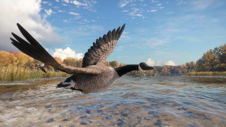 theHunter: Call of the Wild™ - Wild Goose Chase Gear theHunter: Call of the Wild™ - Wild Goose Chase Gear