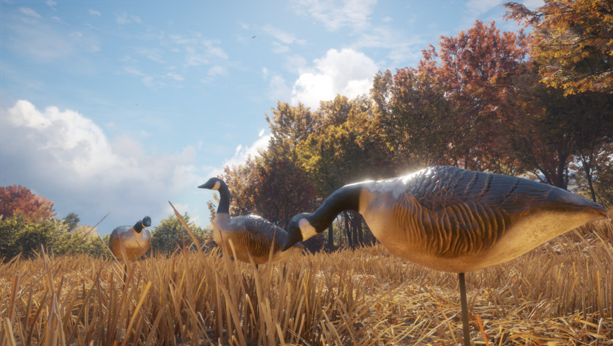 theHunter: Call of the Wild™ - Wild Goose Chase Gear theHunter: Call of the Wild™ - Wild Goose Chase Gear