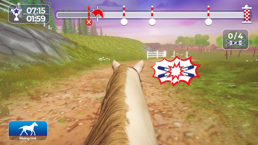 Equestrian Training