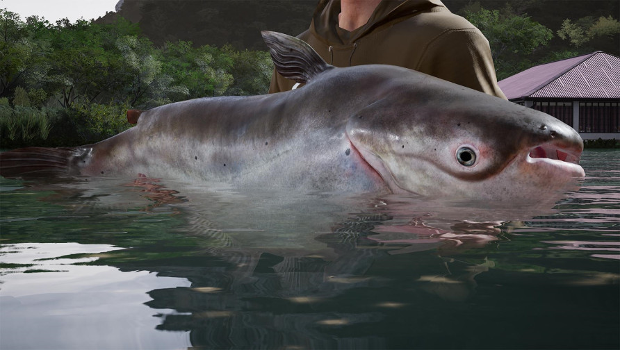 Fishing Sim World®: Pro Tour – Giant Carp Pack