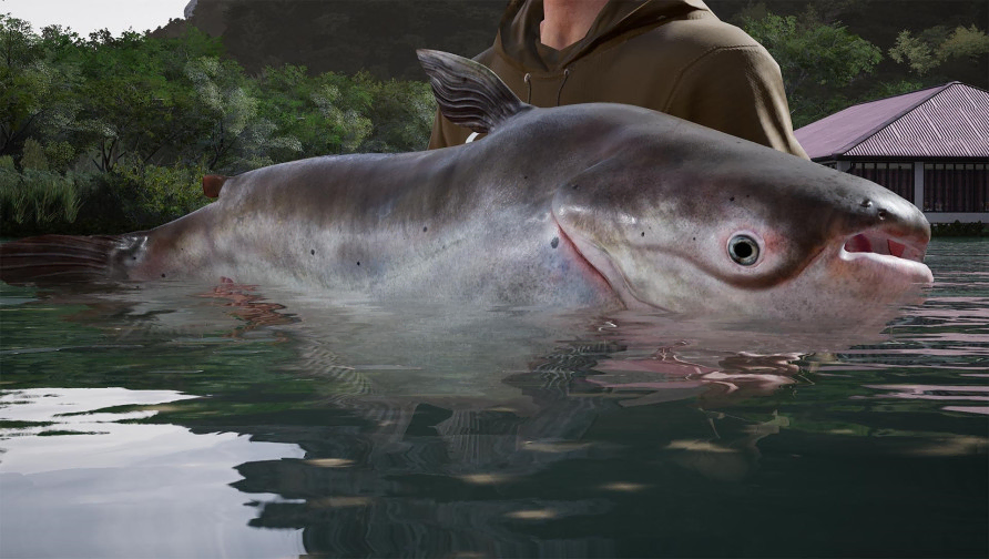 Fishing Sim World®: Pro Tour – Giant Carp Pack Fishing Sim World®: Pro Tour – Giant Carp Pack