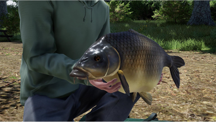 Fishing Sim World®: Pro Tour – Giant Carp Pack Fishing Sim World®: Pro Tour – Giant Carp Pack
