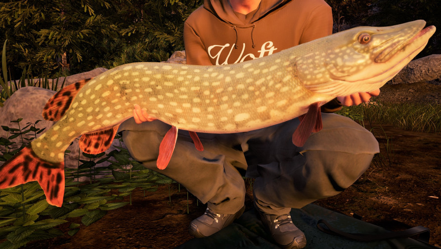Fishing Sim World®: Pro Tour – Jezioro Bestii