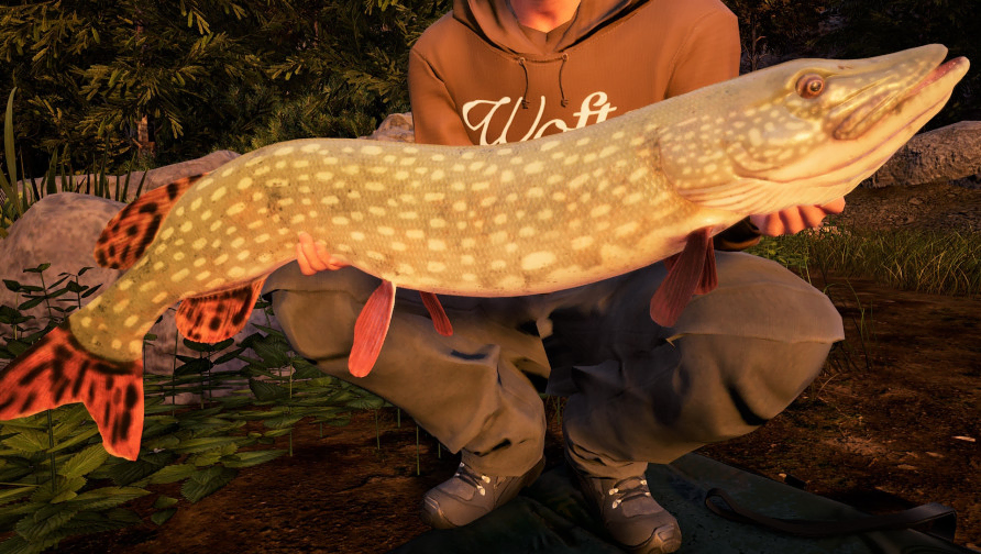 Fishing Sim World®: Pro Tour – Jezioro Bestii Fishing Sim World®: Pro Tour – Jezioro Bestii