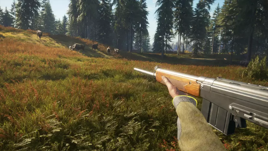theHunter: Call of the Wild™ - Rapid Hunt Rifle Pack
