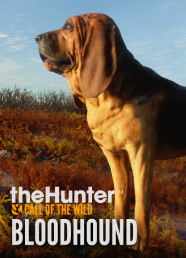 theHunter: Call of the Wild™ - Bloodhound